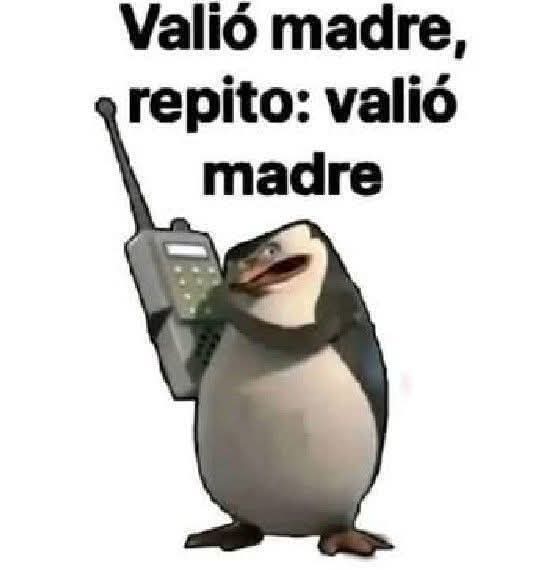 Mosue (Open Coms) tweet media