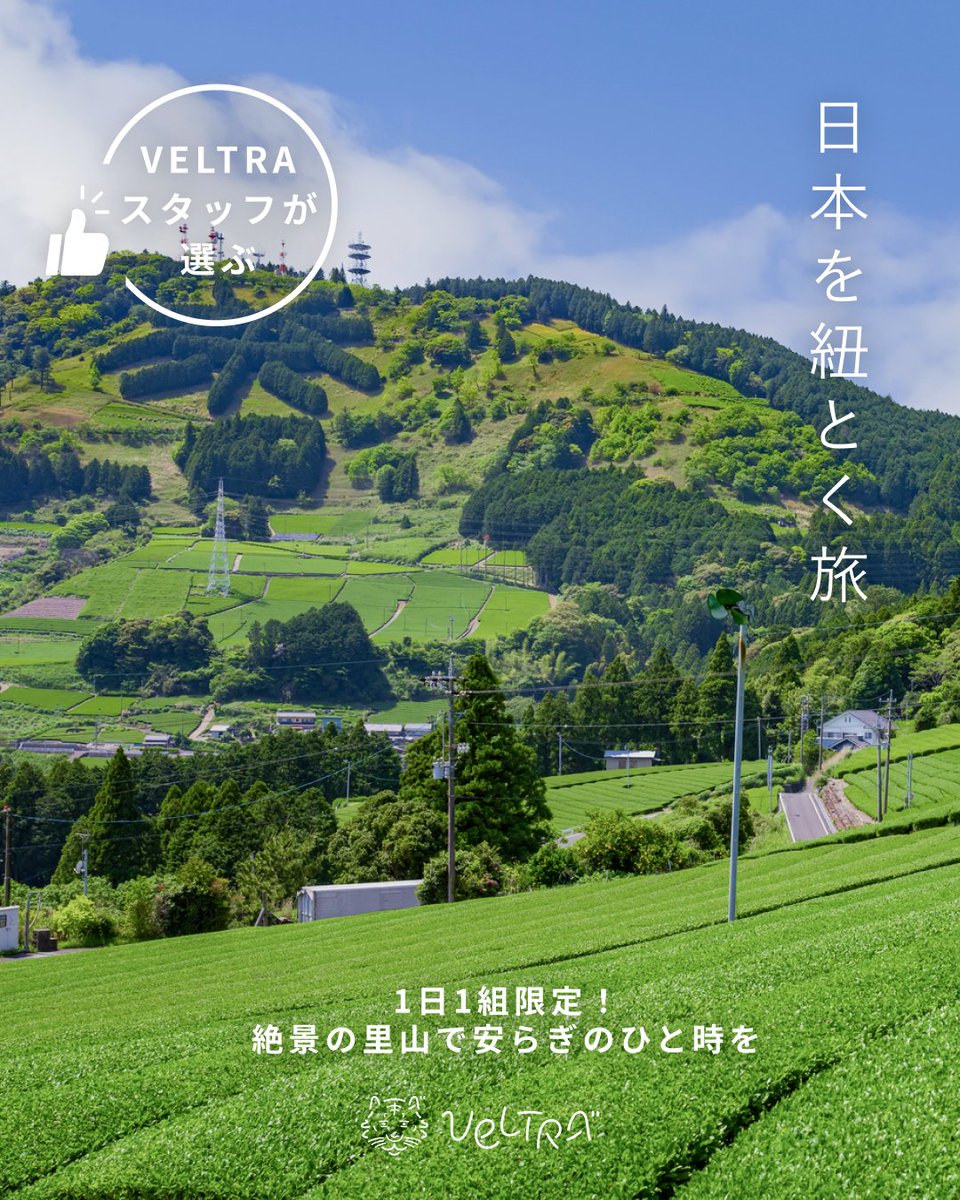 【公式】VELTRA(ベルトラ) tweet media