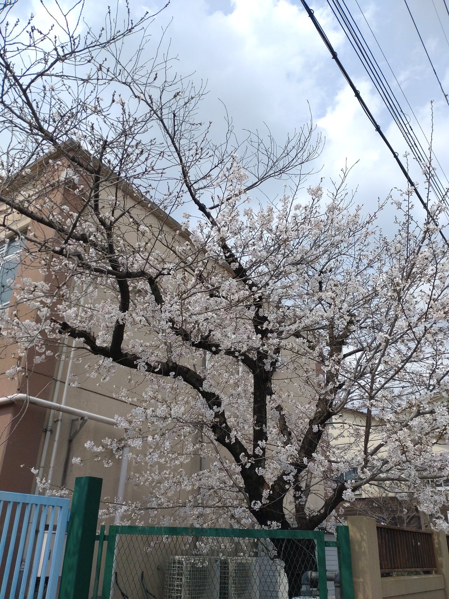 村上“アッシュ”篤史 tweet media