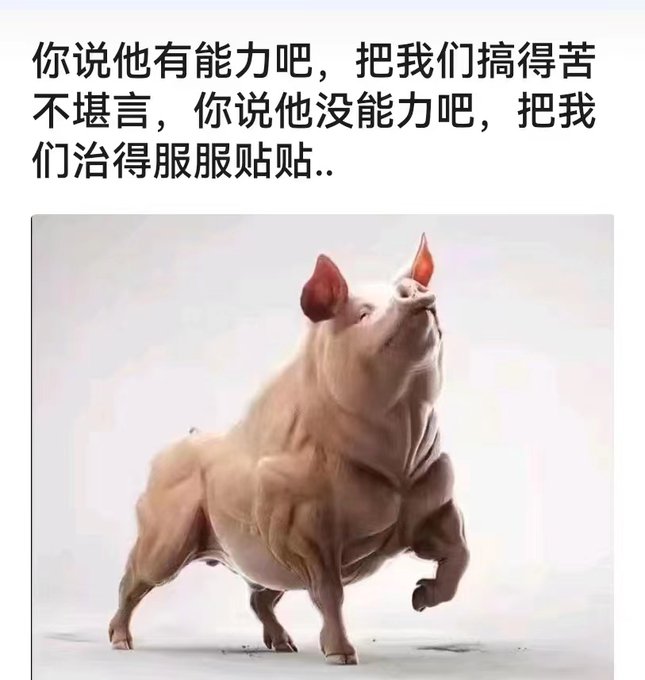 静曼婉儿 tweet media