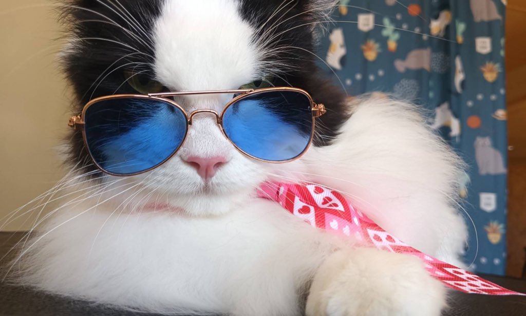 🫧AubE🫧Ing🫧 tweet media