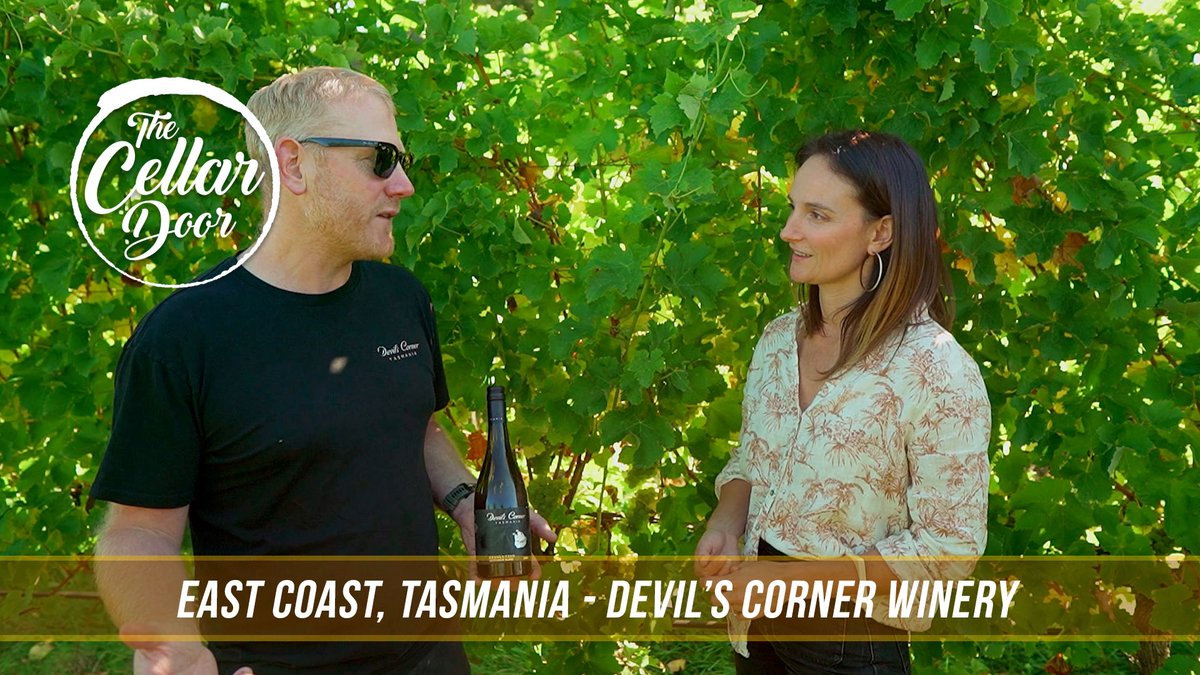 Channel 31 tweet media