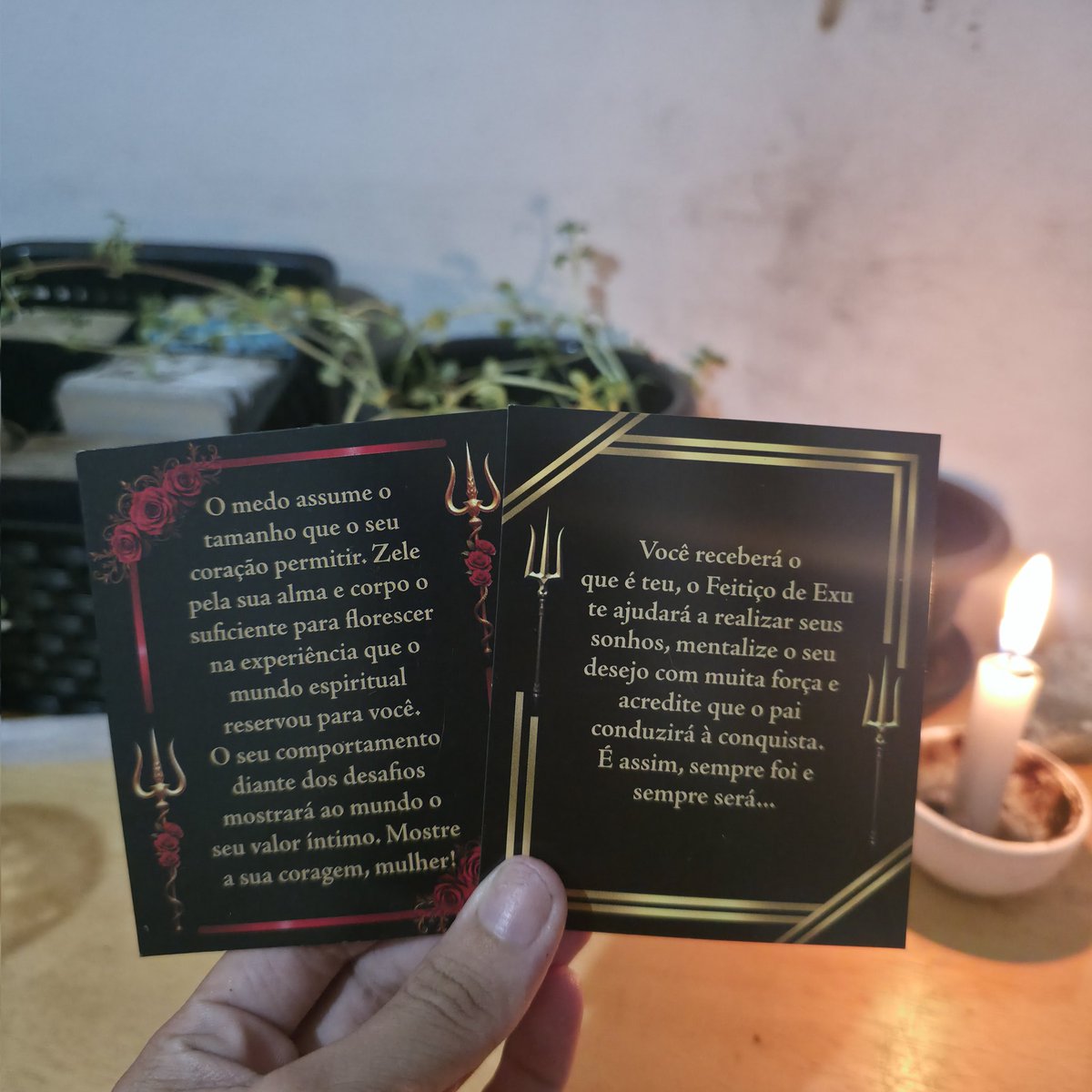 Cantinho da Luz ✨ tweet media