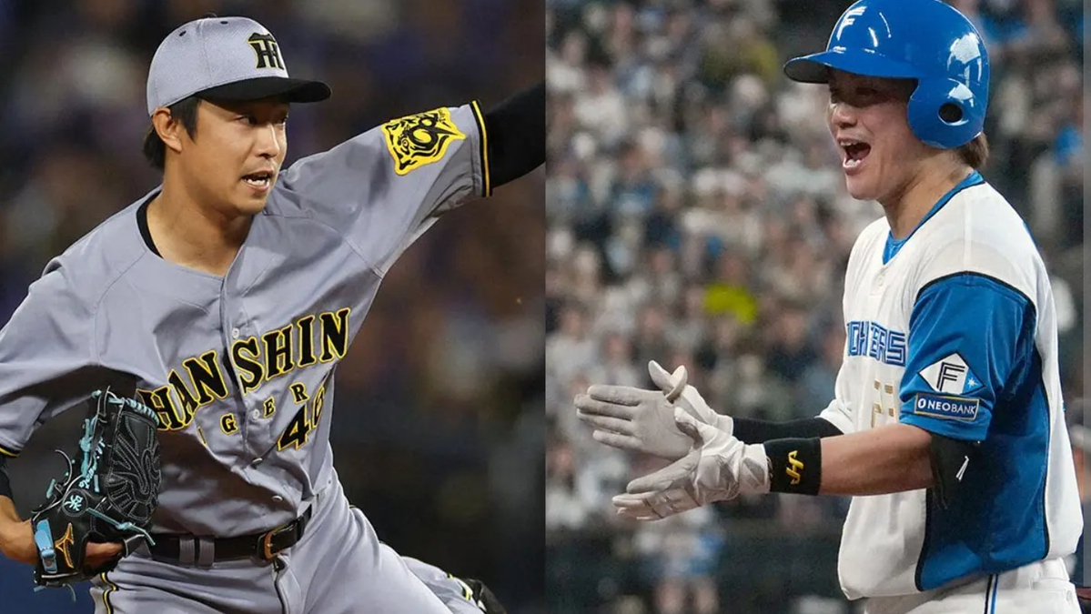 ある虎🐯 tweet media