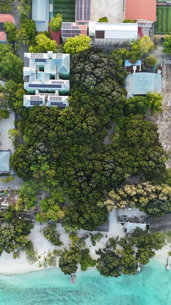 Aminath Zoona tweet media