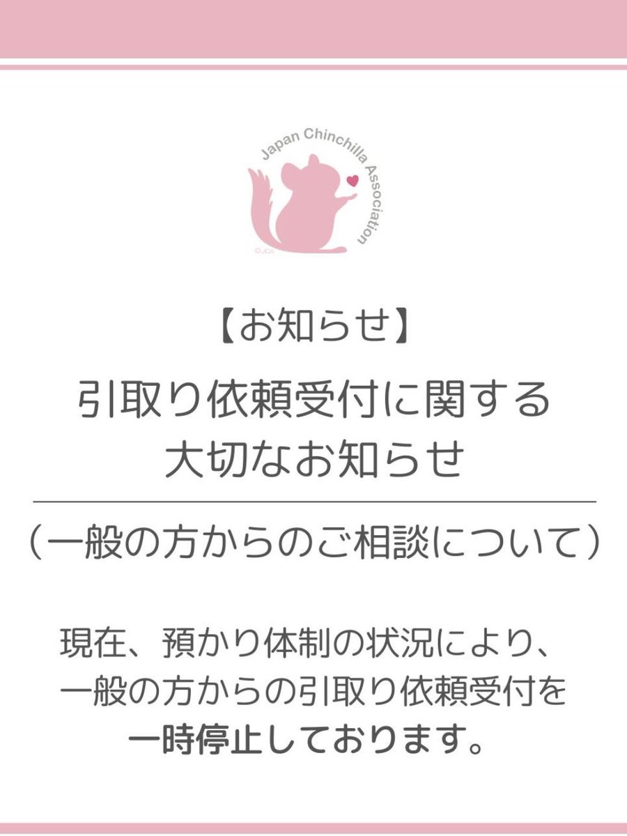 一般社団法人日本チンチラ協会 tweet media