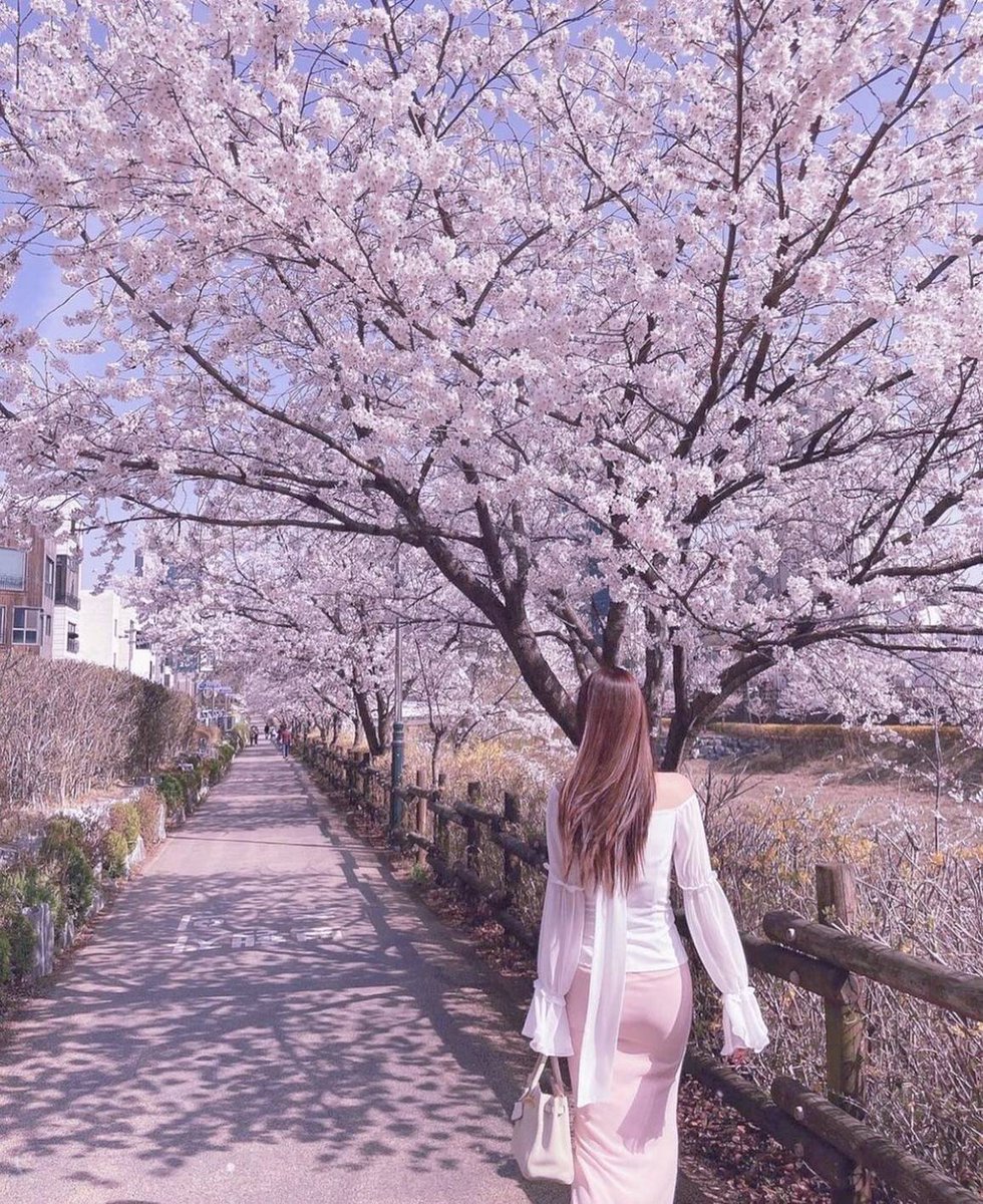 eagle🦅girls tweet media