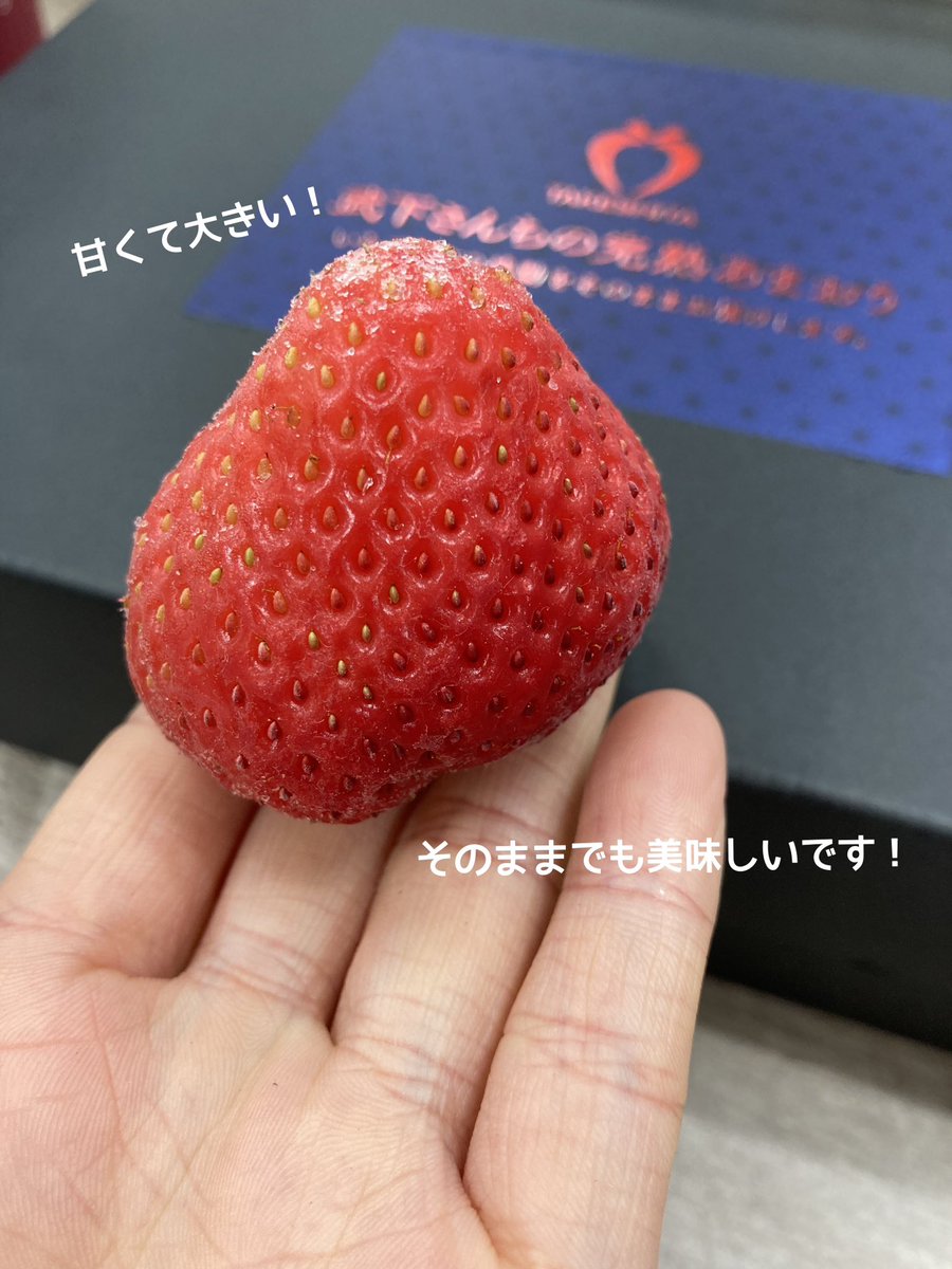 風美庵【公式】 tweet media