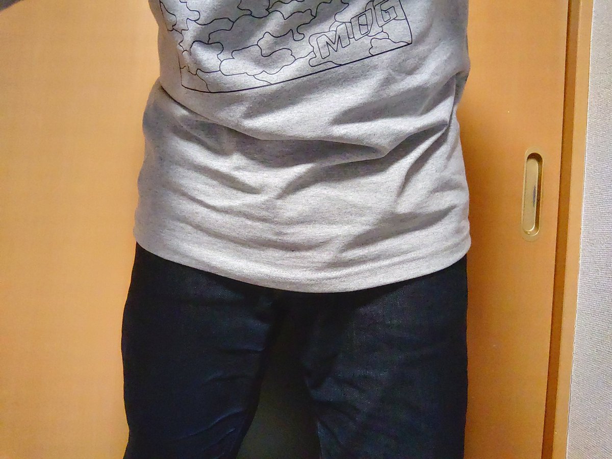 かいろ tweet media