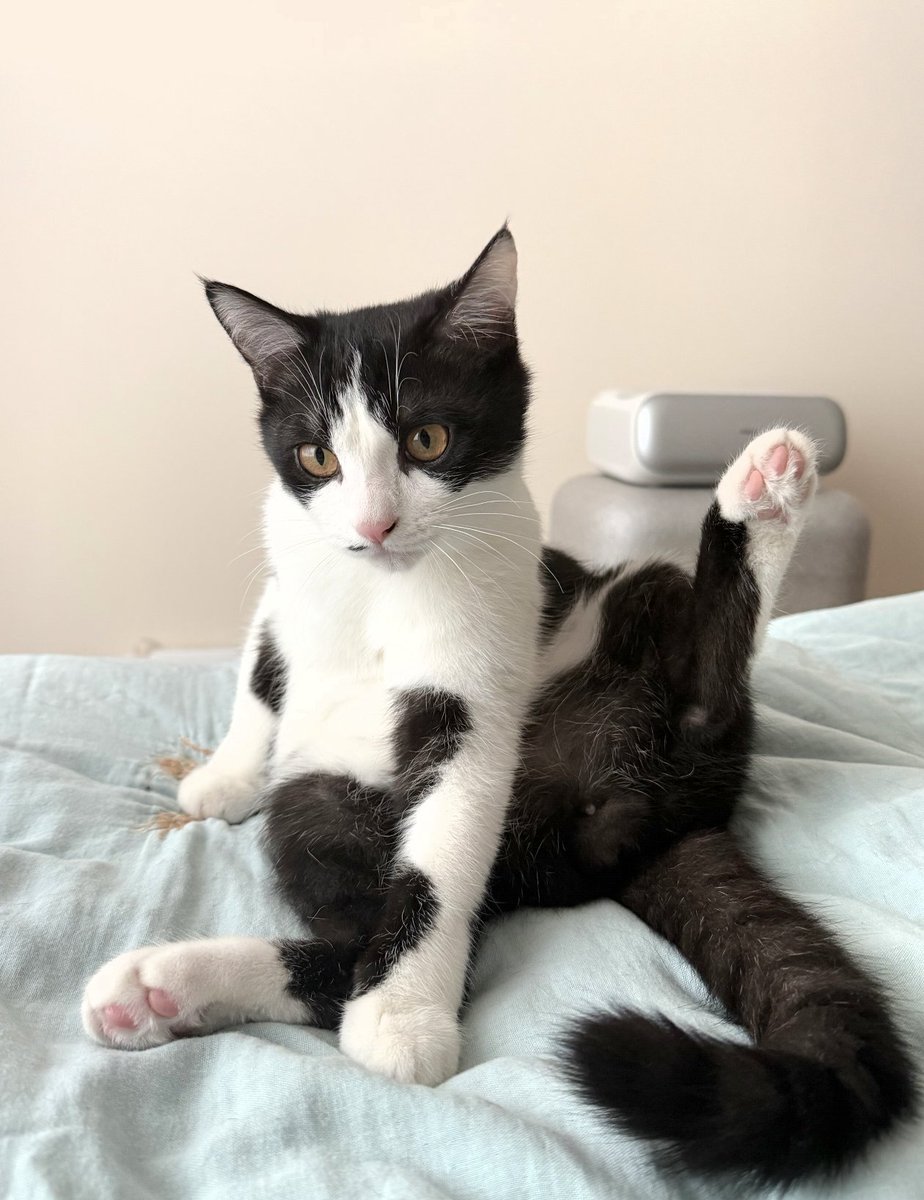 tmszhjh88's tweet image. Exercise with your legs up