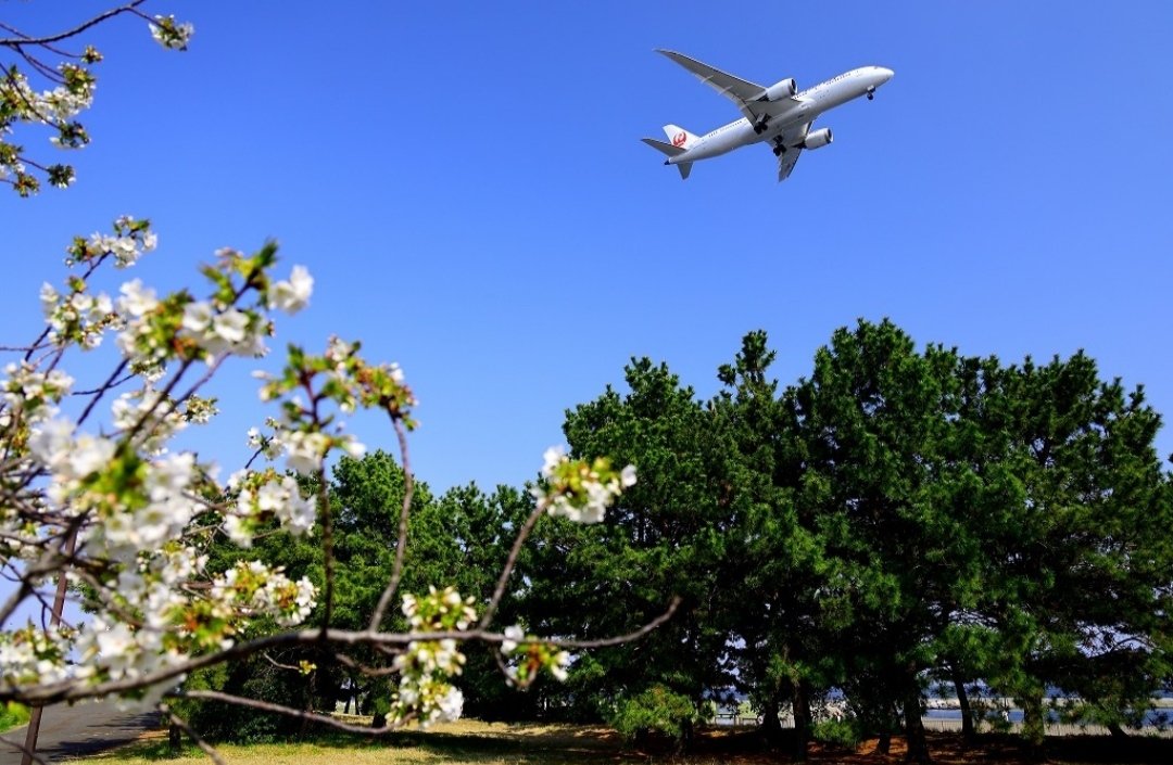 Shimajiro tweet media