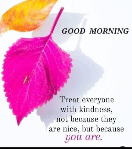 Mukisa Timothy.k. tweet media