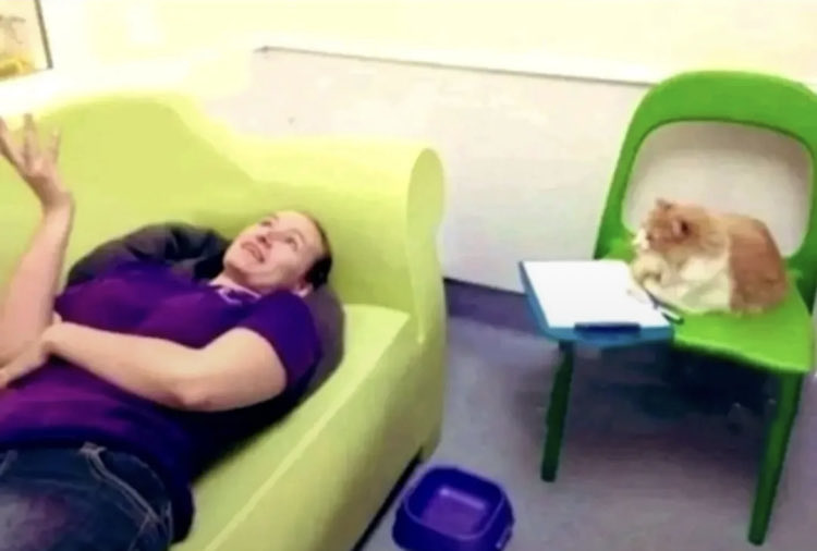 Anitta Sphere tweet media