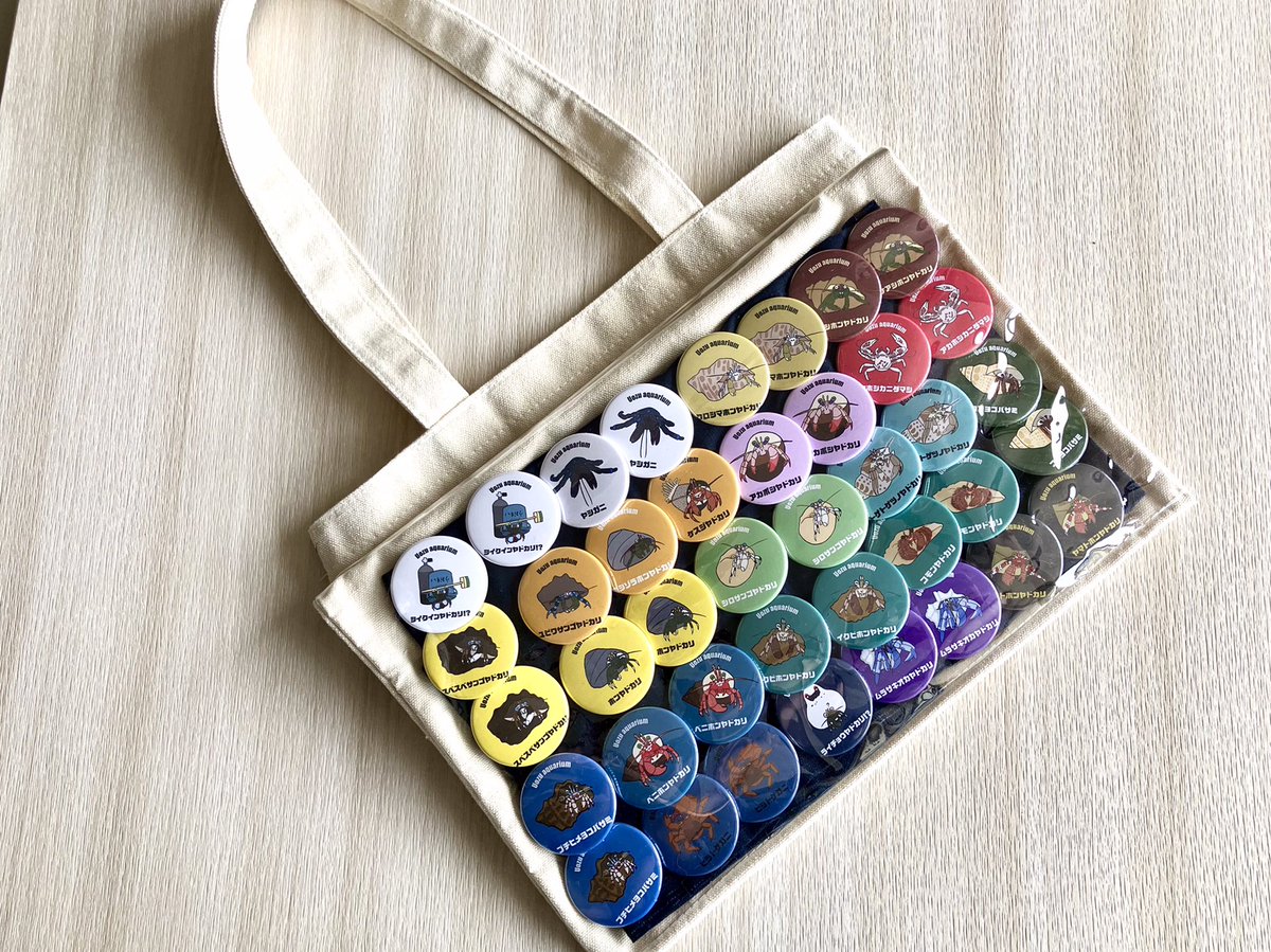 魚津水族館公式 tweet media