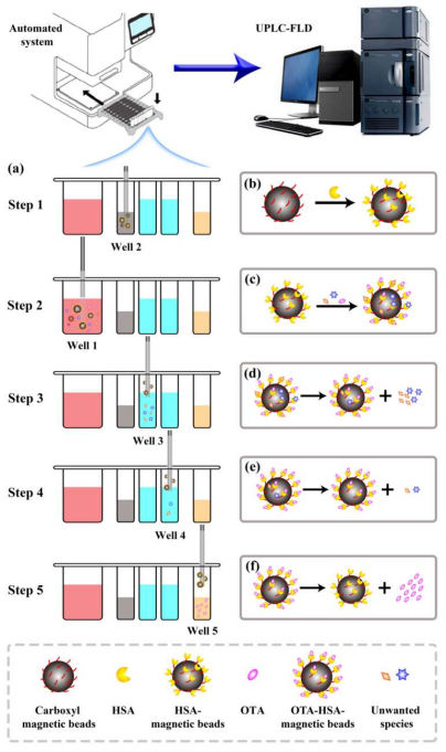 CD Bioparticles' magnetic particle-based mycotoxin clean-up kits enable rapid and efficient purification of samples like grain, food, and dairy. 
cd-bioparticles.com/products/mycot…