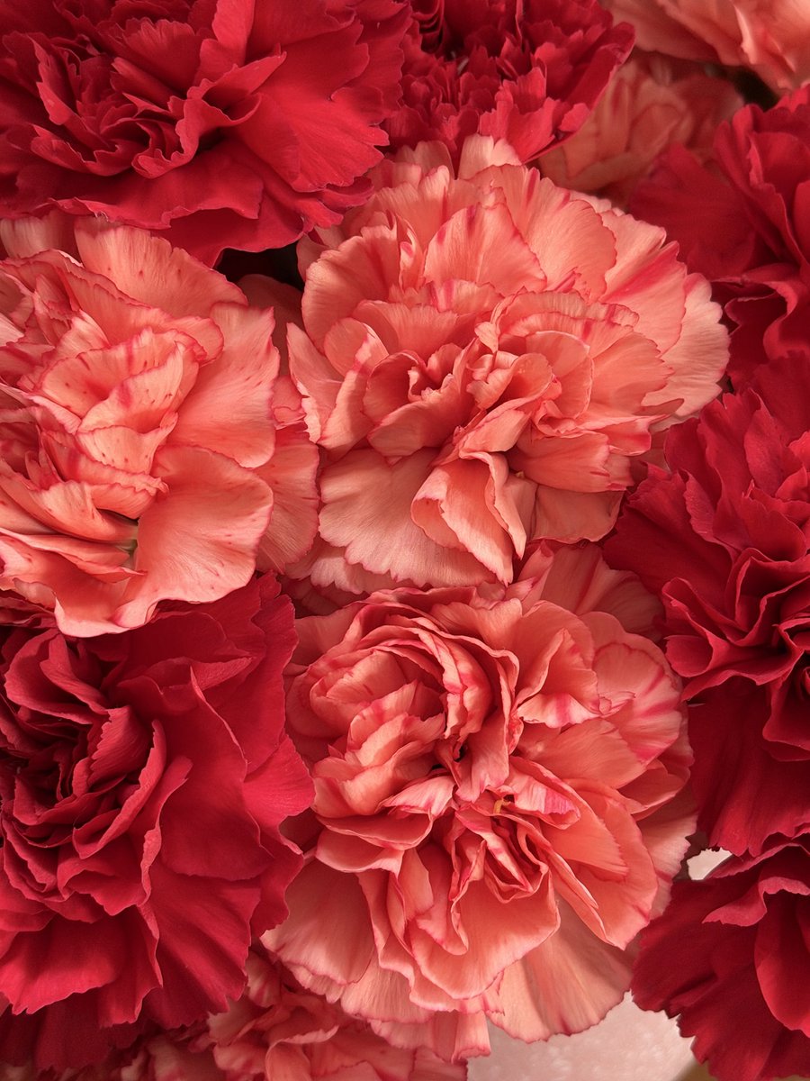 Natalie Sterling tweet media