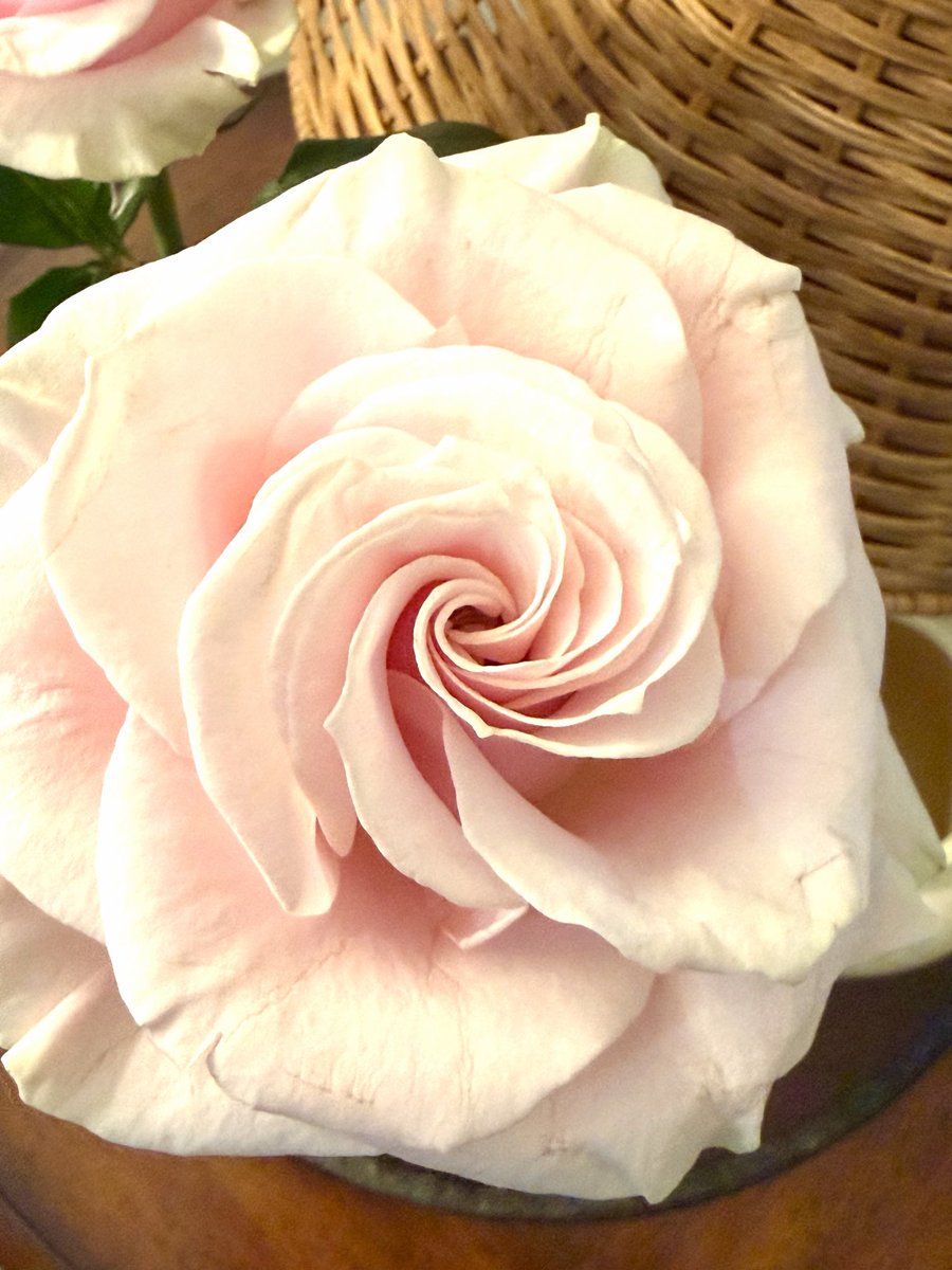 Natalie Sterling tweet media