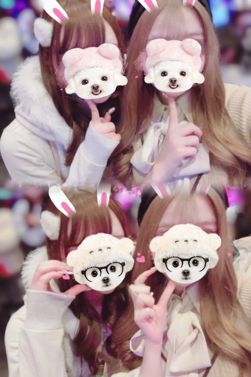 ՞֊ ̫ ֊՞♡ tweet media