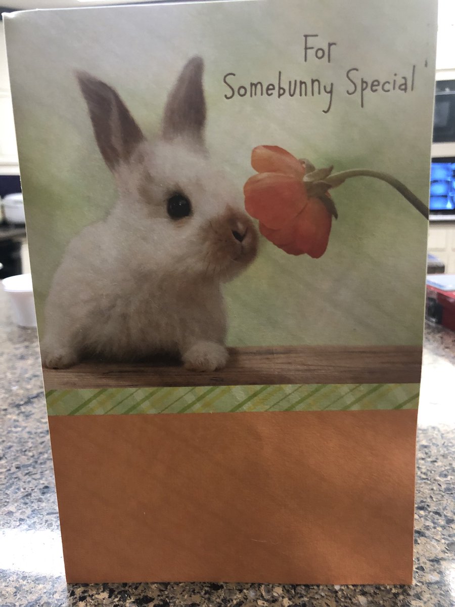 Hawkstar97 tweet media