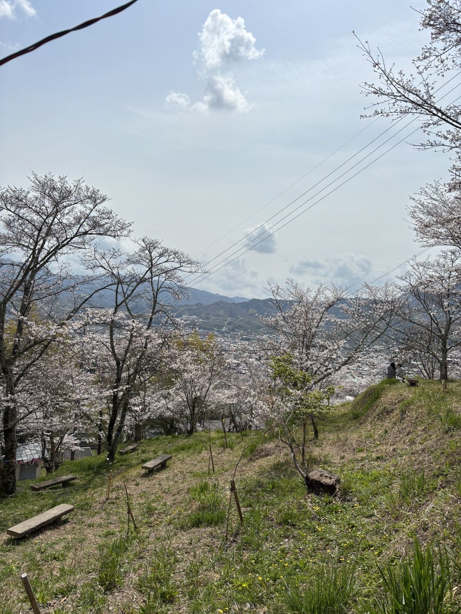 ムックリちゃん tweet media