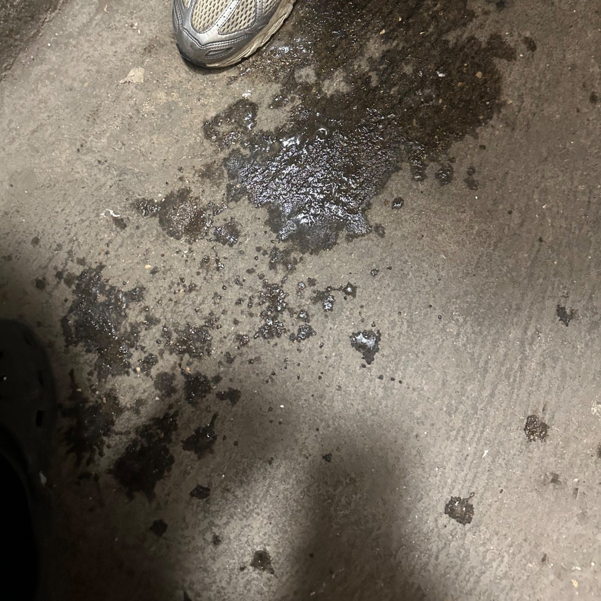 Passif931 tweet media