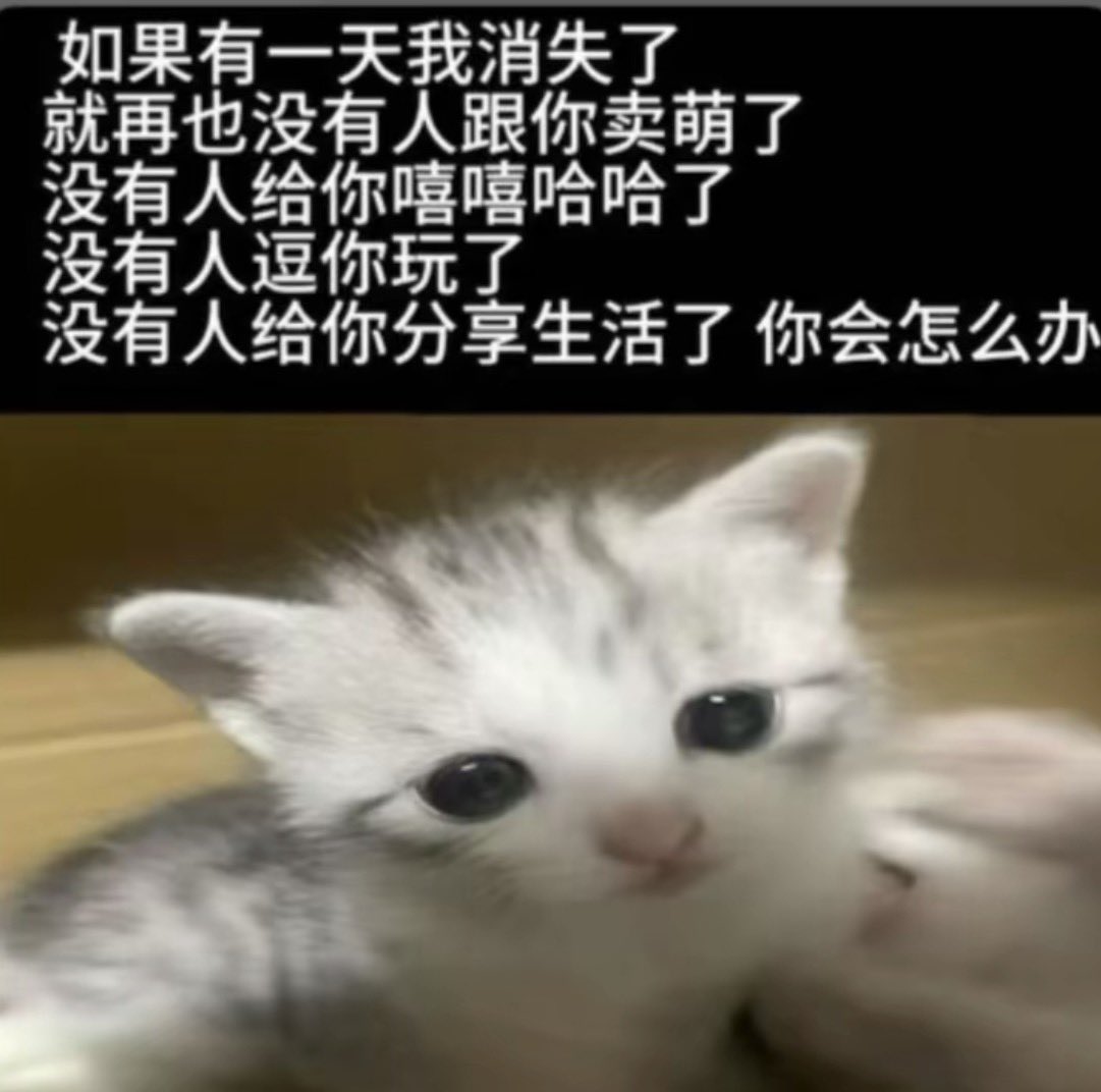 呆萌小鹿鹿 tweet media