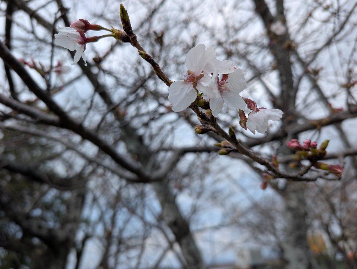 元気回復堂' 浜松本店の中の人 tweet media