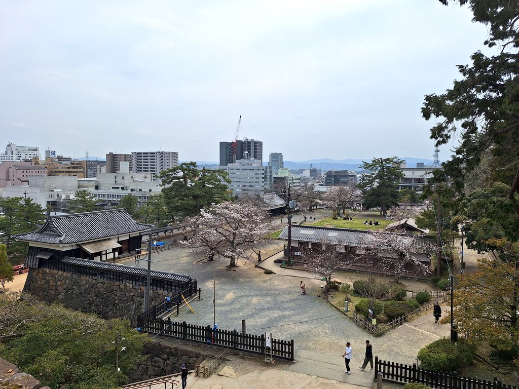 MSB_38's tweet photo. 🌸桜情報2026/03/30
週末、今日と暖かい日が続いて松江城周辺も🌸開花が進んでいます😊
 #松江市 
 #松江城 
 #お花見 
 #桜情報 #桜 🌸
 #堀川遊覧船 
 #お昼休み #散歩 🚶
 #matsuecity #matsuecastle 
 #sakura #cherryblossom https://t.co/DwXGNV9wVD