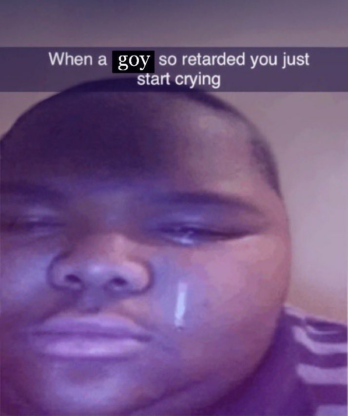 Anime profile Cuck being warhawk for the millionth time who doesn't understand the difference between the operational and strategic levels of war is too Fucking big a demographic