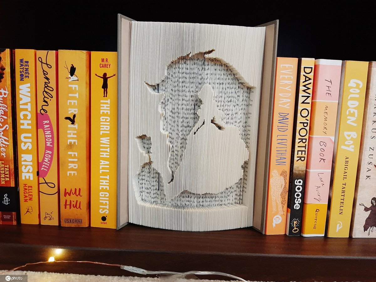 Shane Schutte tweet media