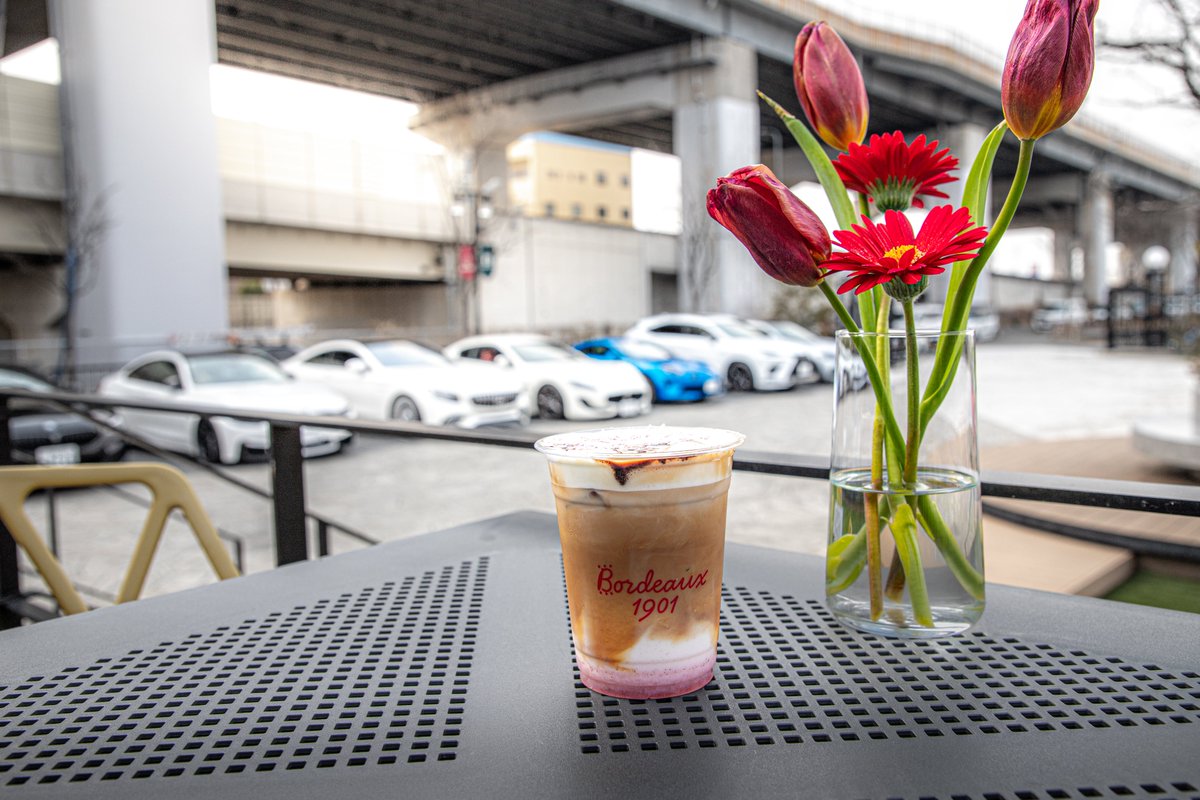 ピヌガヌ tweet media