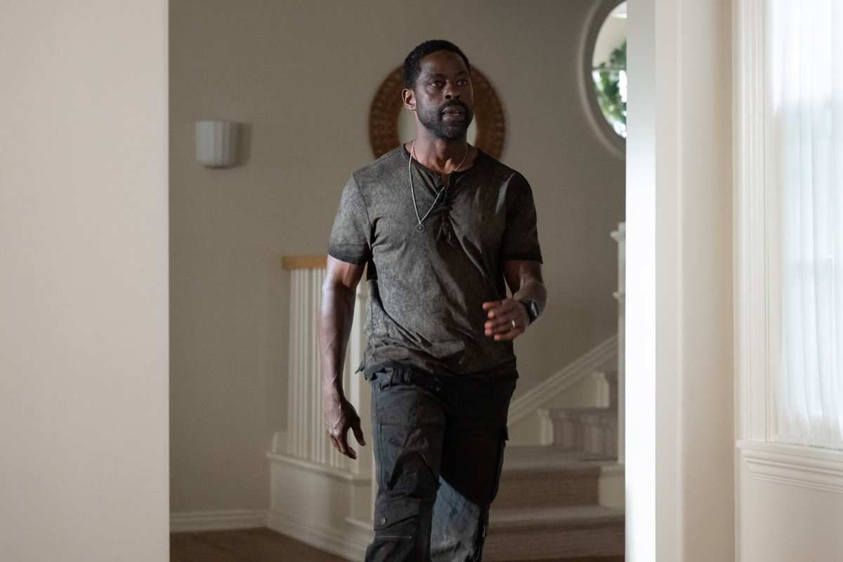 Paradise tweet media