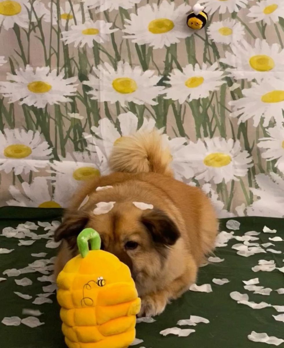 우댕댕 tweet media