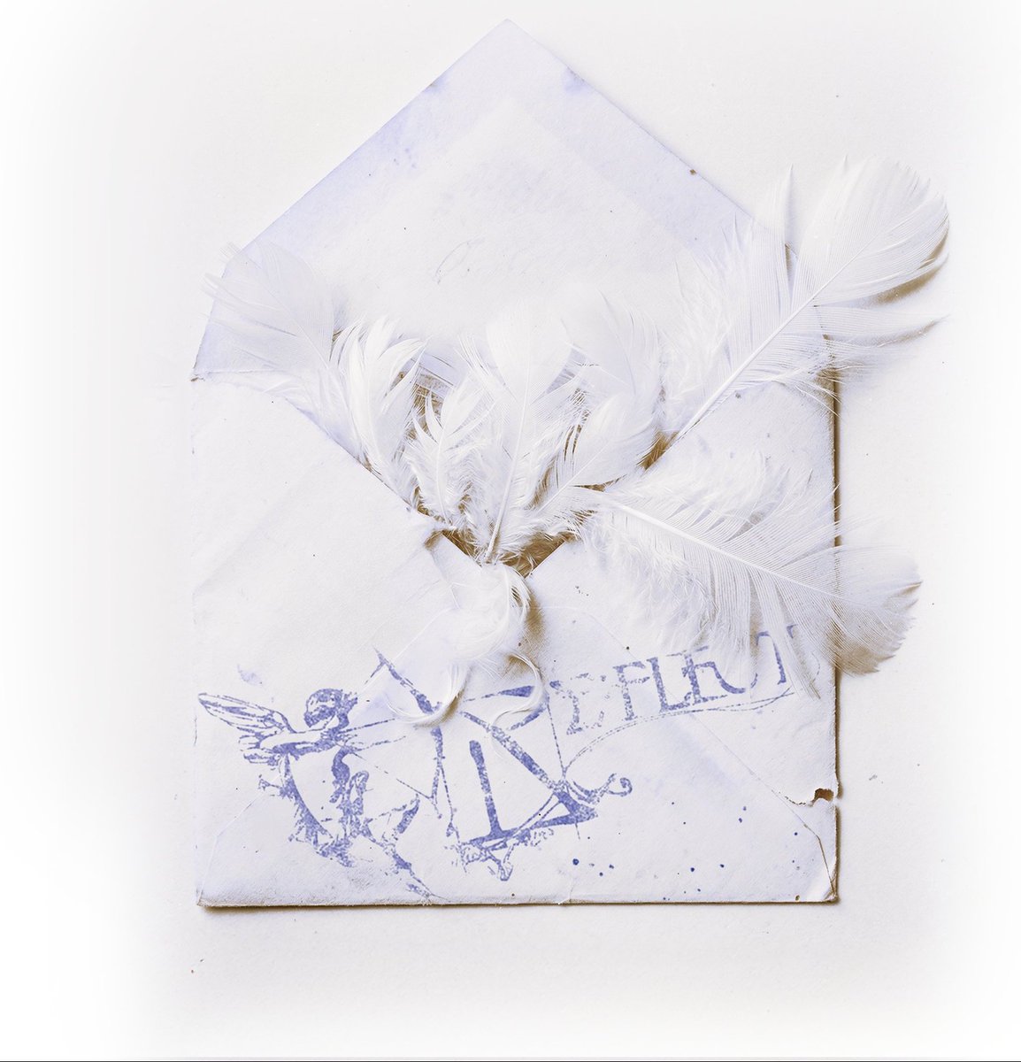 Maya Ticketing Service ✨ tweet media