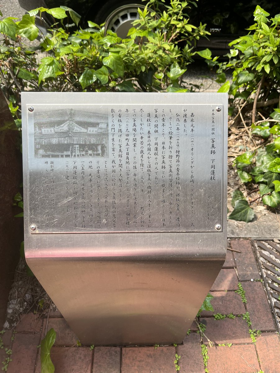 だいこんあし tweet media