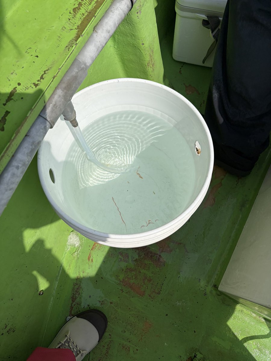 あさみん🎣 tweet media