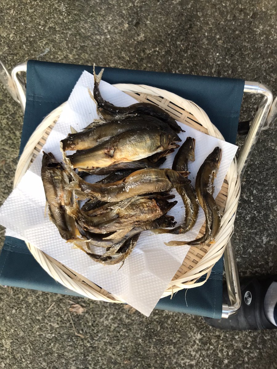 エアレの樹海の主 tweet media