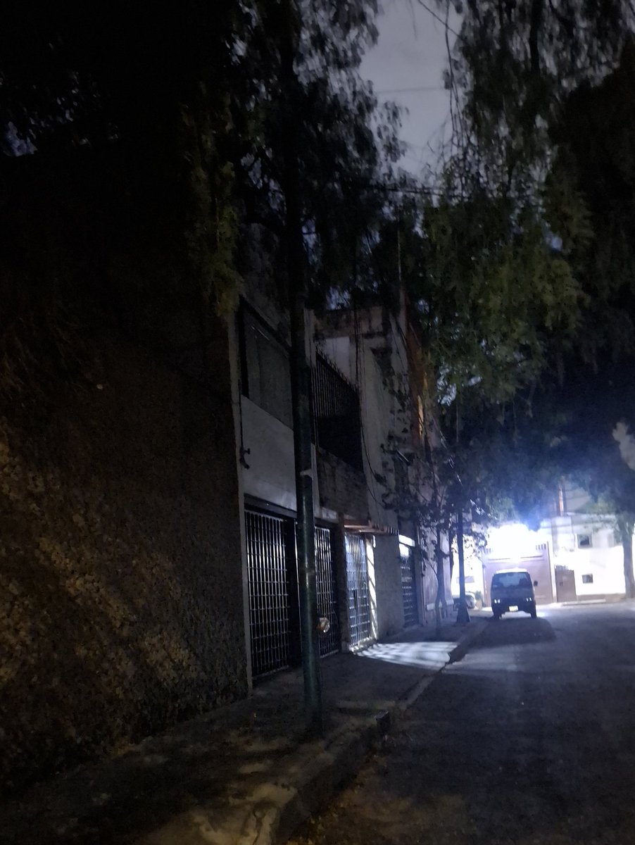 Elsa 😷 tweet media