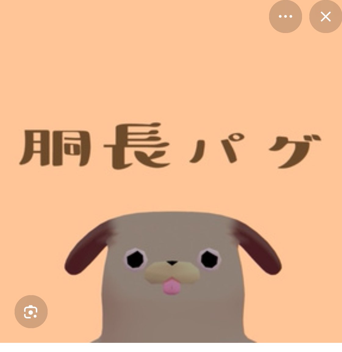 ぽんぬ🐱ポンの森 tweet media