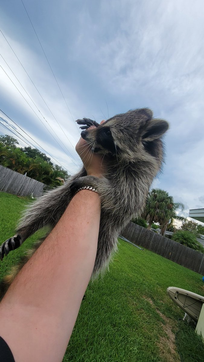 The Buschwhacker 🫗 tweet media