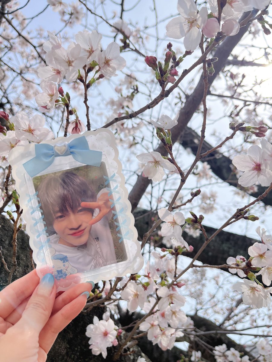 🩵りーちゃん🐶🩵 tweet media