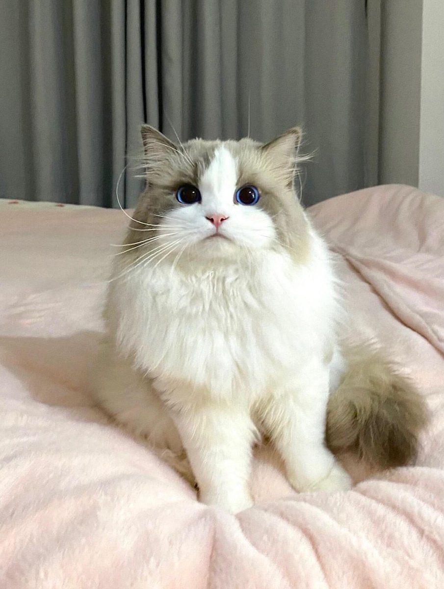 Purely Green tweet media