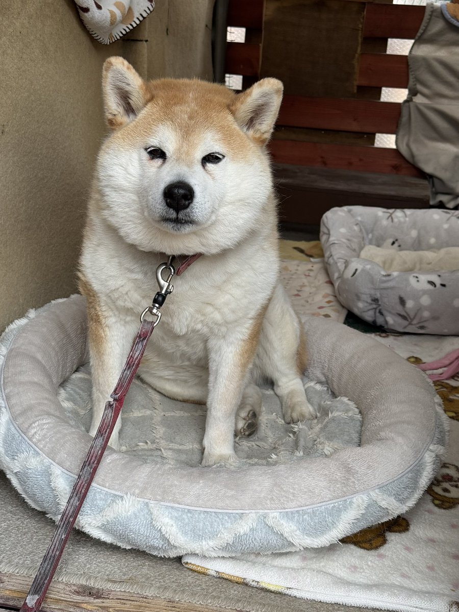 𝕽𝖊𝖅𝕬𝕽𝕯𝕹 🔥 tweet media