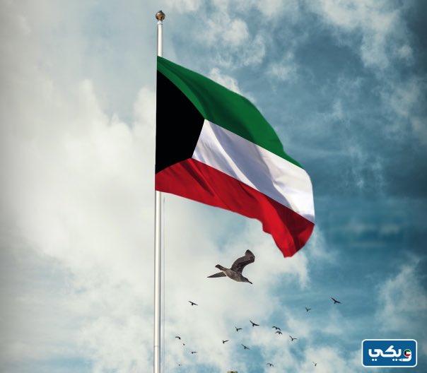 گـشـگول | KASHAKUL tweet media