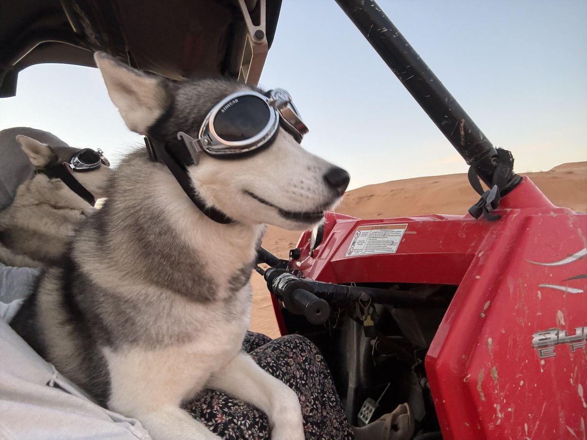 はなもも(hanamomo) tweet media