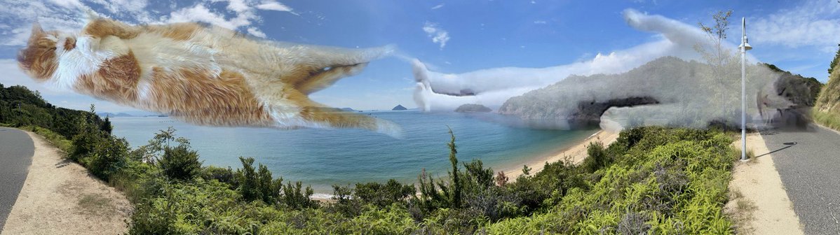 日帰り旅行でパノラマ風景写真と撮りながら「家に帰ってうちの長ーい猫ちゃん並べてパノラマで撮りたいなーww」とか考えてたのでね。基本ちょっとアレなんですよね、猫飼いは。
