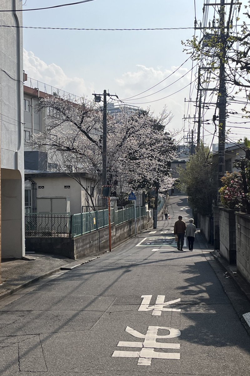 あや たに tweet media