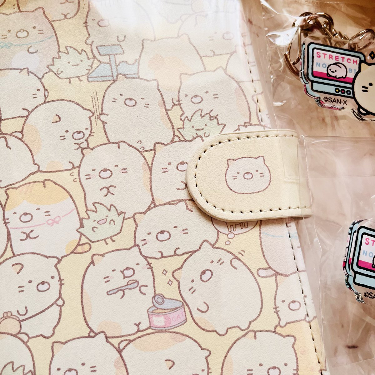 ねこた🐟🐱🍙 tweet media