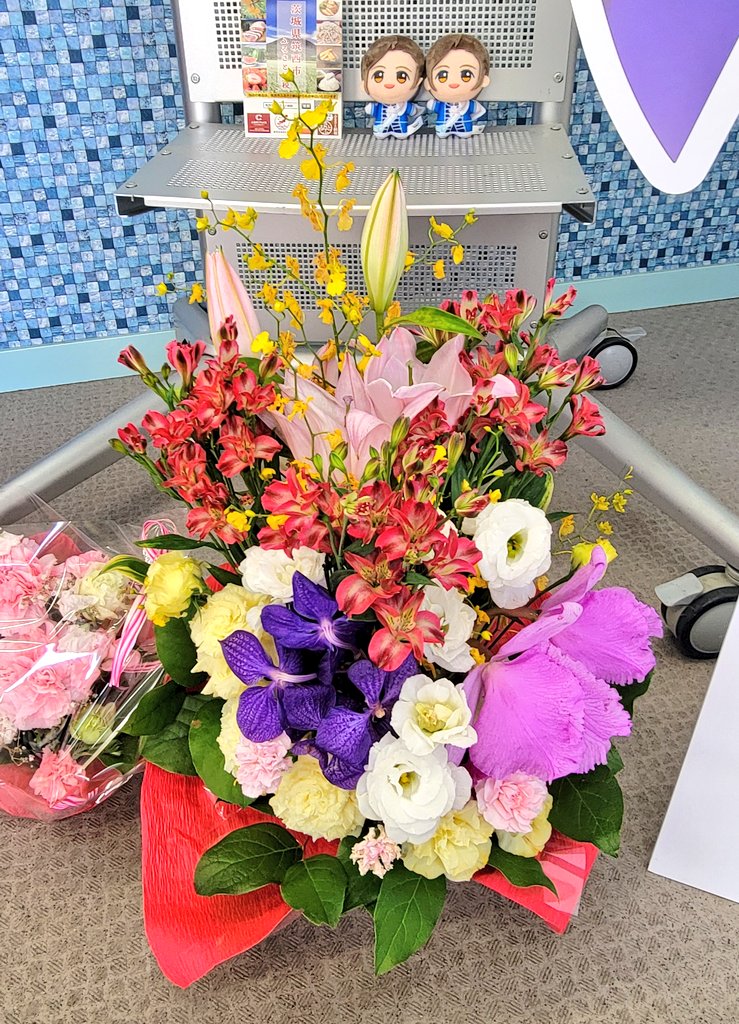 (誠P)🍓🌹🕰️ tweet media