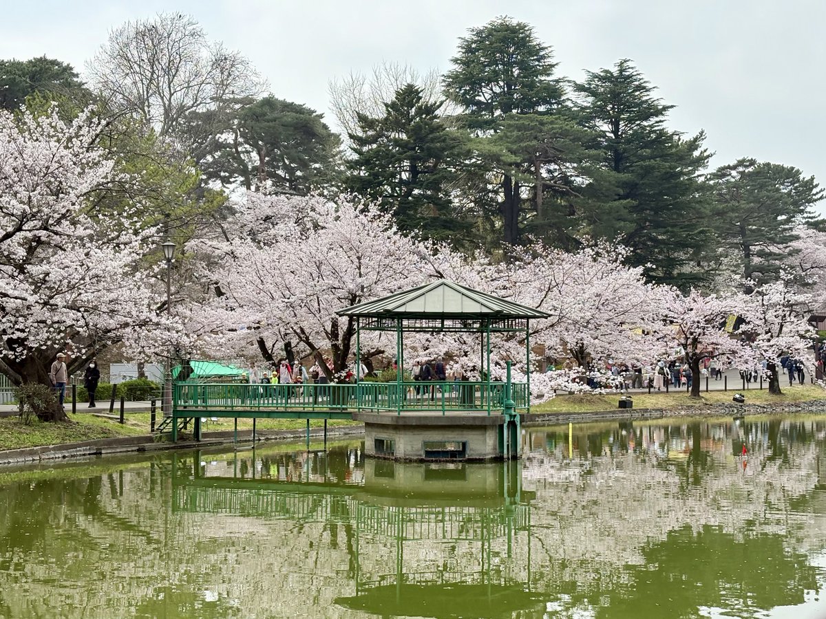 はむ_。 tweet media